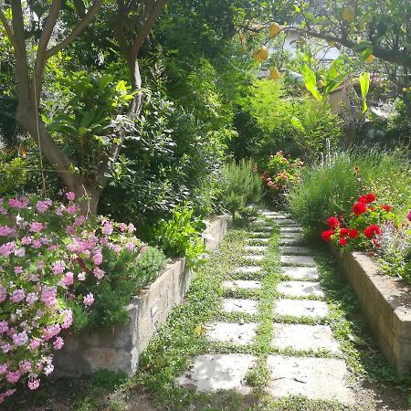 Il Vialetto Dei Limoni Bed & Breakfast Вико Екуензе Екстериор снимка