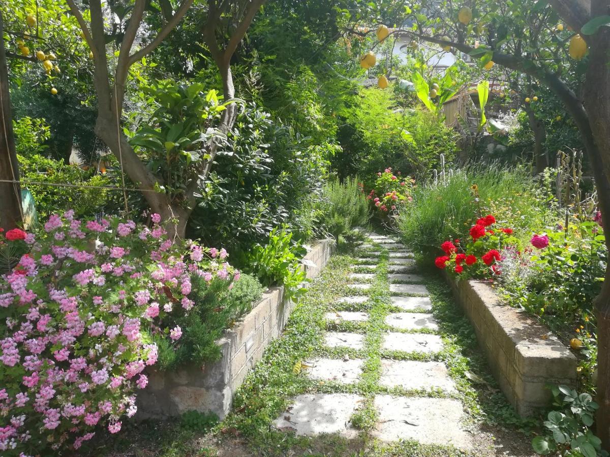 Il Vialetto Dei Limoni Bed & Breakfast Вико Екуензе Екстериор снимка