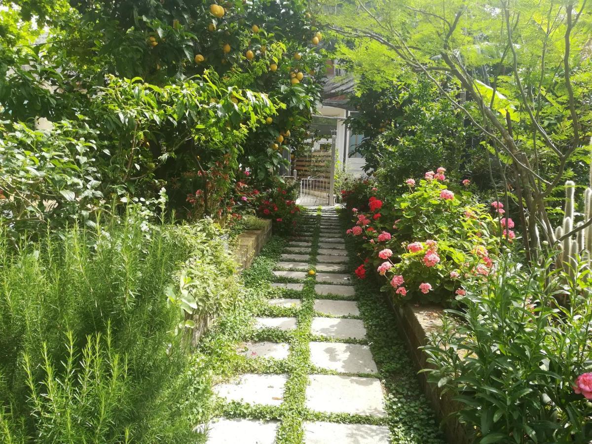 Il Vialetto Dei Limoni Bed & Breakfast Вико Екуензе Екстериор снимка