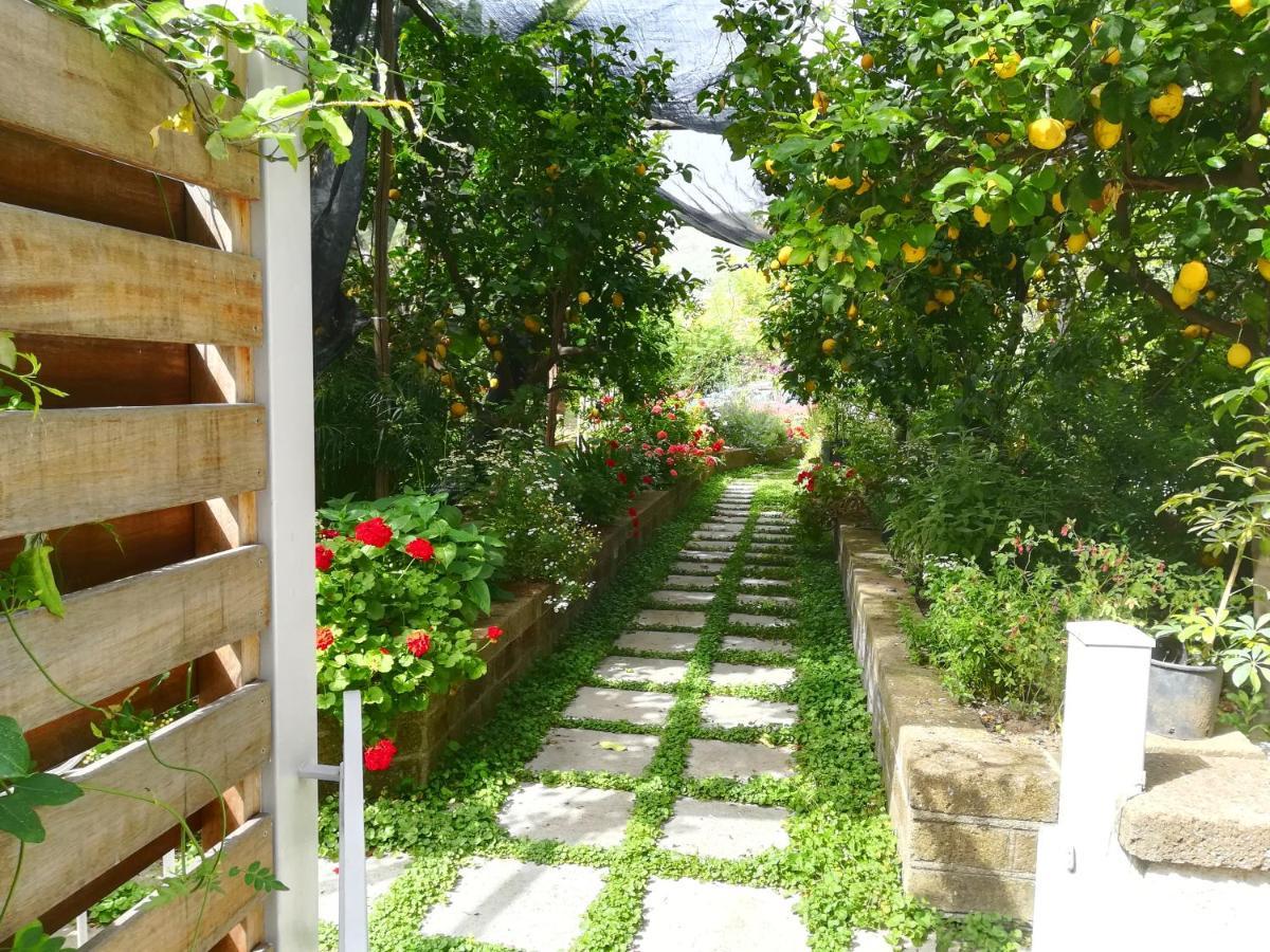 Il Vialetto Dei Limoni Bed & Breakfast Вико Екуензе Екстериор снимка