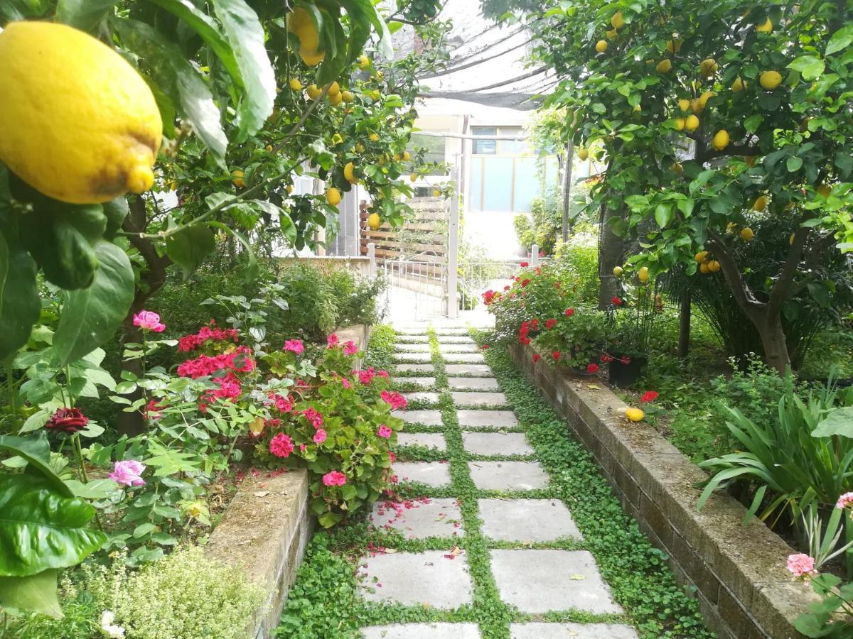 Il Vialetto Dei Limoni Bed & Breakfast Вико Екуензе Екстериор снимка